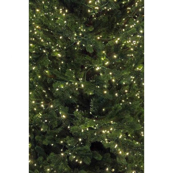 Black Box tamarack kerstboom met warmwit led groen 2700 lampjes tips