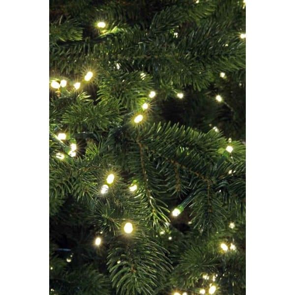 Black Box tamarack kerstboom met warmwit led groen 2700 lampjes tips