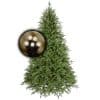 Kerstboom Excellent Trees® Ulvik 180 cm met losse verlichting