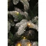 Triumph Tree hallarin kerstboom met warmwit led groen frosted 216