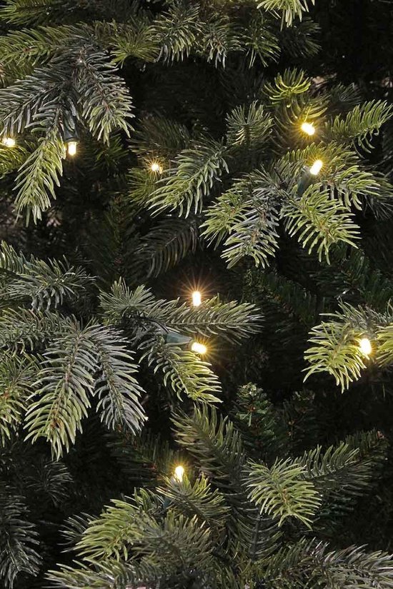 Black Box orford kerstboom met warmwit led donkergroen 220 lampjes tips 1421 maat in cm: 185 x 122