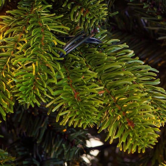 Kerstboom Excellent Trees® Mantorp 210 cm - Luxe uitvoering