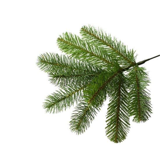 National Tree Company Poly Cambridge Spruce Kunstkerstboom - 122 cm - Brandvertragend - Metalen voet